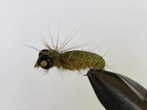 GREEN BODY BOATMAN #12