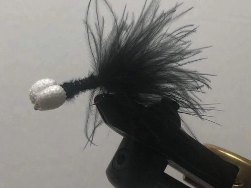 BLACK & WHITE BOOBY #10